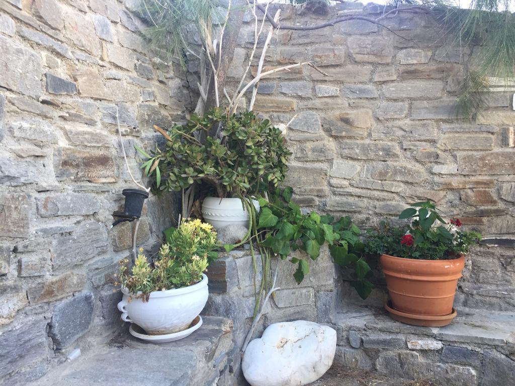 Anna'S Studio Piso Livadi Exterior photo